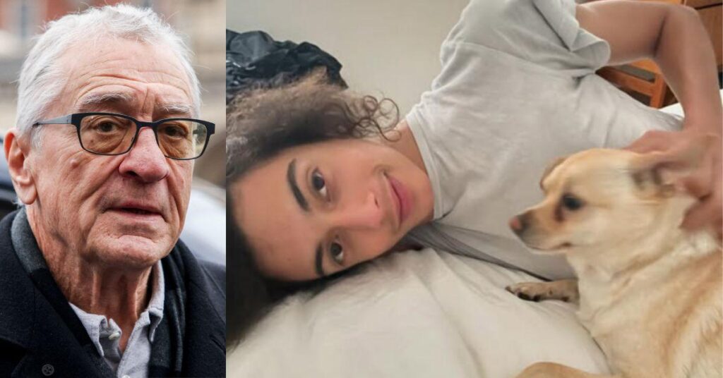 Robert De Niro's Tragedy Deepens As Grandson's Dealer Faces NY Deaths