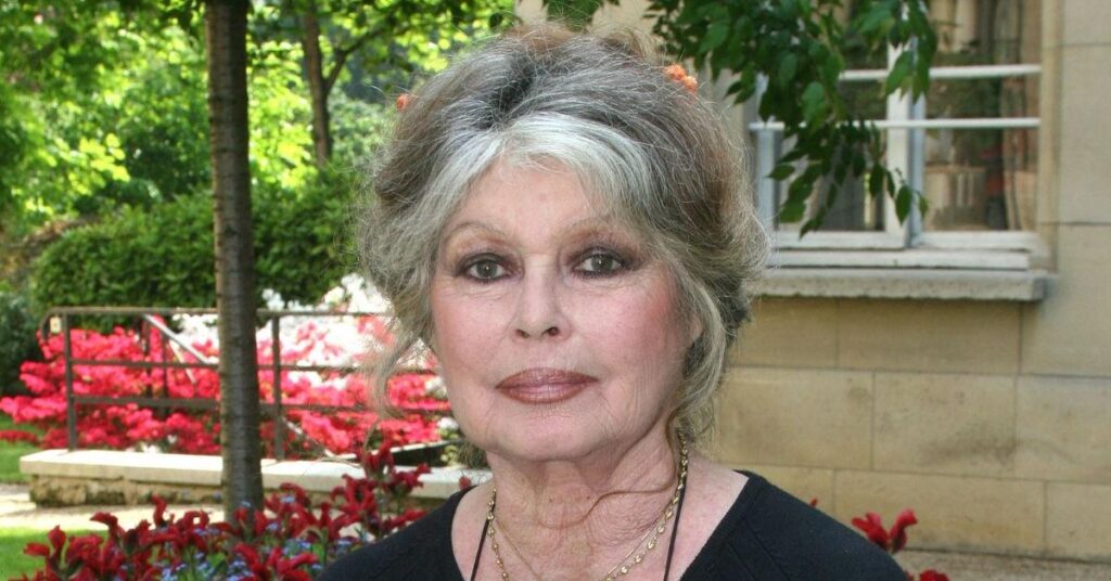 Brigitte Bardot's Legacy Marred By Prejudiced Politics, Parenting