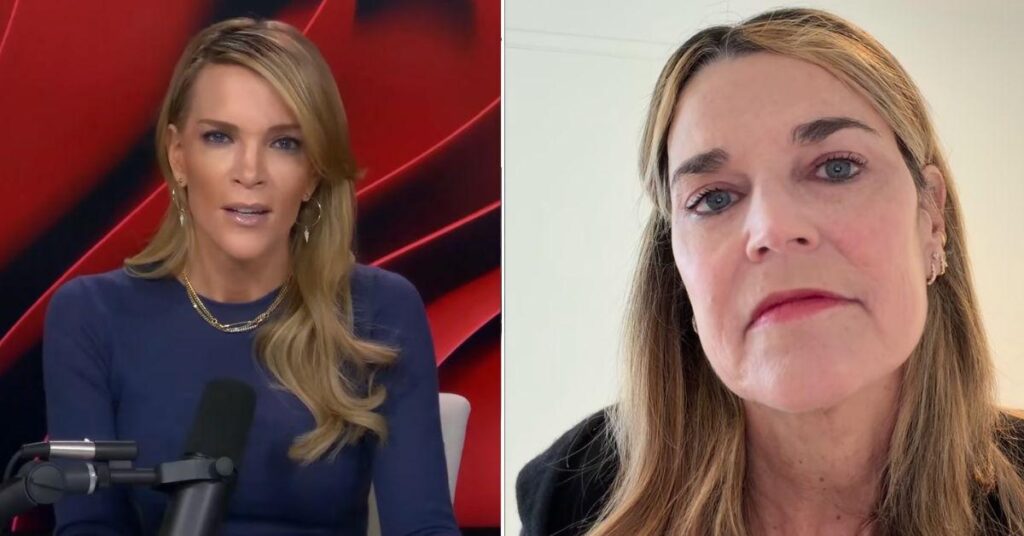 Megyn Kelly Defends Savannah Guthrie Wearing Makeup In Missing Mom Video