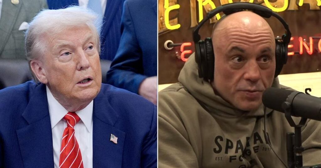 Donald Trump Insists Joe Rogan Is a 'Great Guy' Amid His ICE Criticism