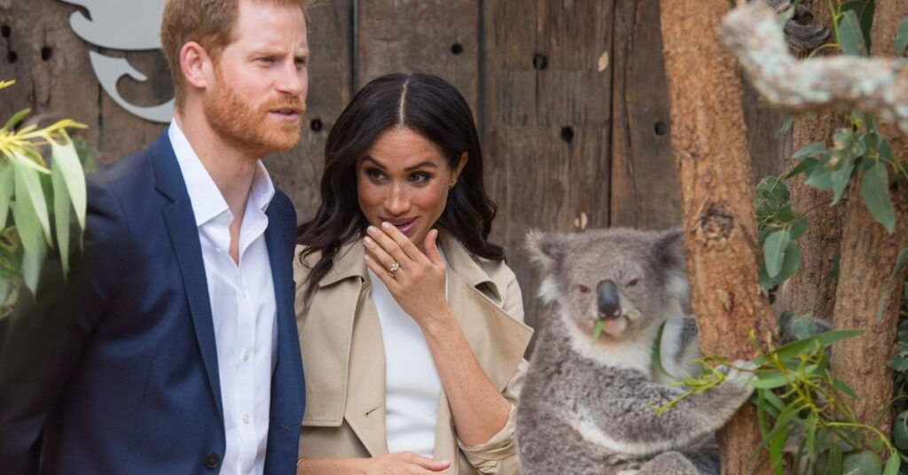 Harry and Meghan’s ‘Faux Royal’ Tour of Australia in Total Shambles Harry and Meghan's 'Faux Royal' Tour of Australia in Total Shambles