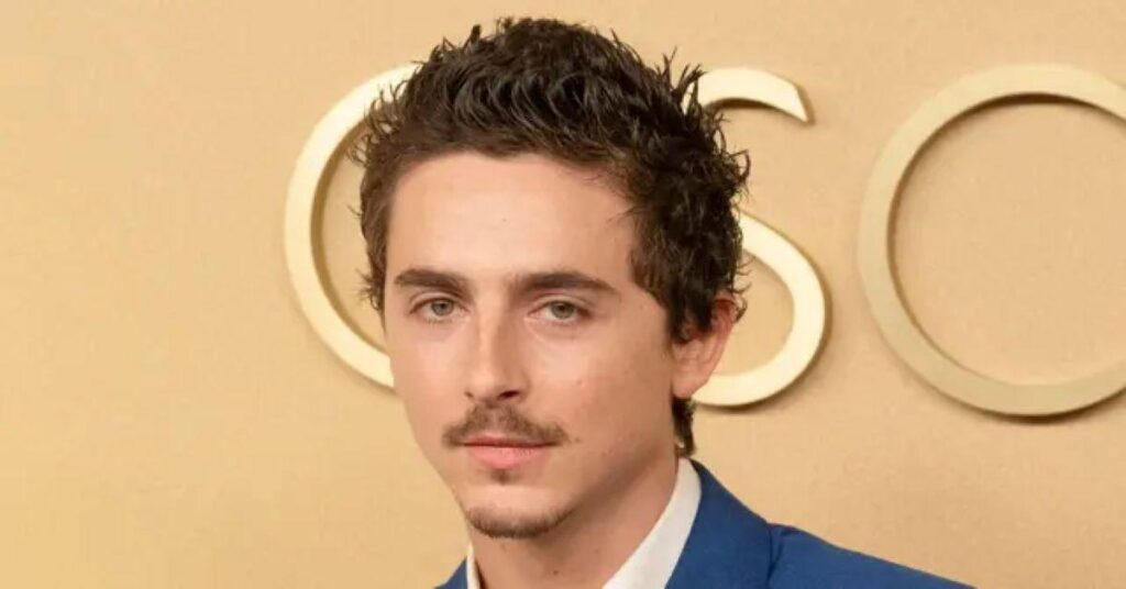 Timothée Chalamet 'Considered Skipping Oscars Red Carpet' Amid Comments