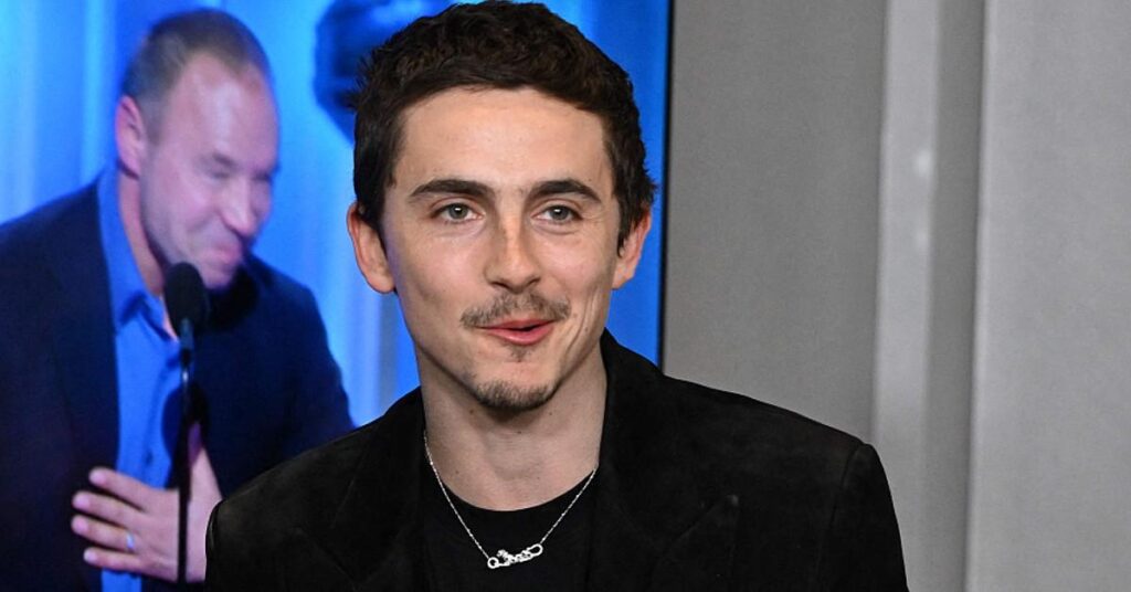 Timothée Chalamet 'Doesn't Care About' Backlash Over Ballet & Opera Remark