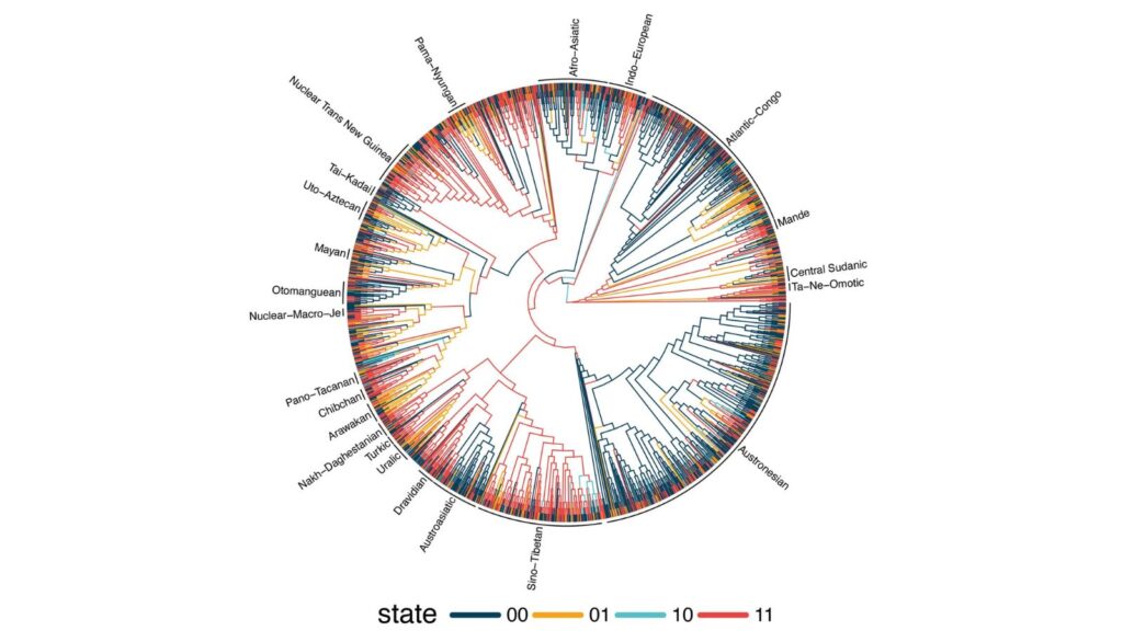 The data set included 1,700 languages worldwide and constituted one of the greatest attempts to prove or disprove the existence of common grammatical rules among diverse nations and regions. (Image: Max Planck Gesellschaft)