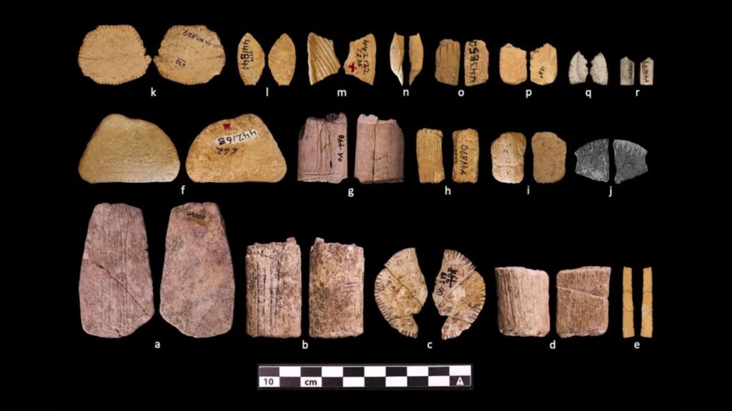 These artefacts date back roughly 12,800 to 12,200 years, making them more than 6,000 years older than previously known dice from other parts of the world. (Image: American Antiquity)
