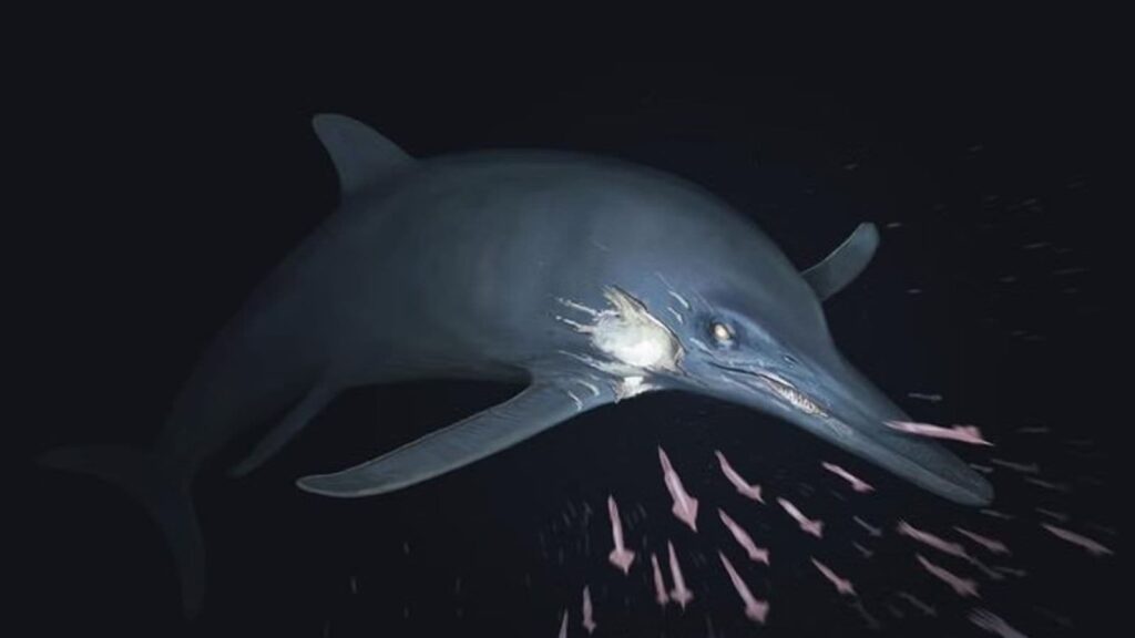 180-million-year-old fossil of dolphin-like predator sheds new light on Jurassic marine life | Technology News Researchers have not assigned the fossil to a specific species, as the remains are not complete enough to make a definite identification.(Image: Joschua Knüppe)