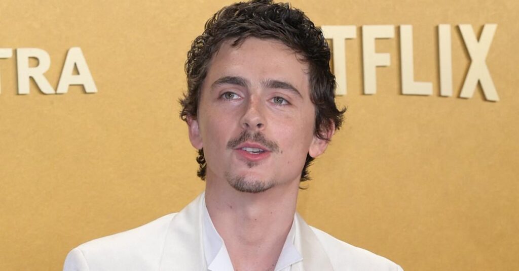 Real Reason Timothée Chalamet Was Snubbed at Oscars