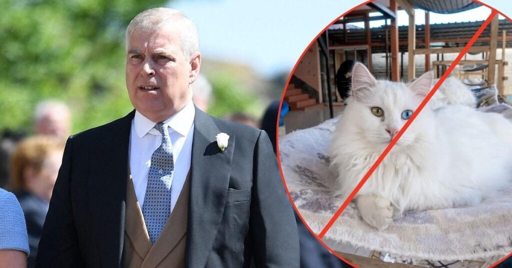 Andrew Windsor Hosts Guests Amid New Restrictions Andrew Windsor Hosts Guests Amid New Restrictions