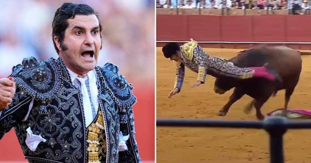 Bullfighter's Gruesome 5-Inch Rectal Gash Goring Caught on Camera