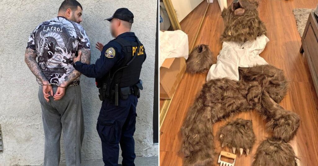 Three Men Sentenced After Being Convicted Over 'Fake Bear' Attack