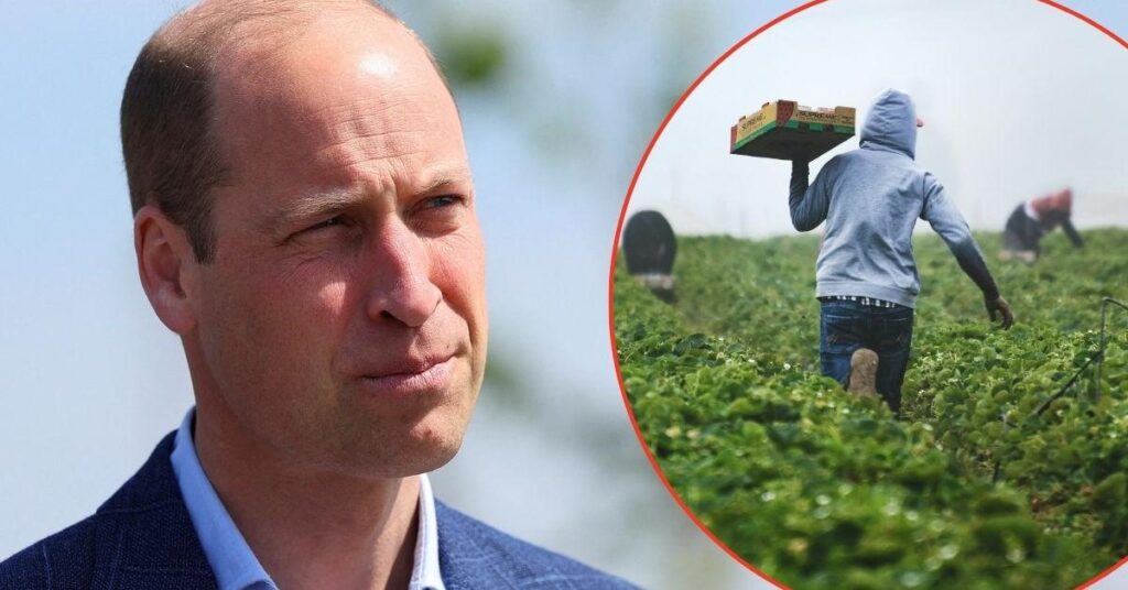 Stressed Farmers Brand Prince William a 'Hypocrite' Over Campaign
