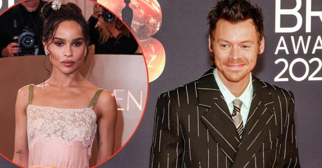 Reasons Harry Styles Is Ready to Settle Down With Zoë Kravitz