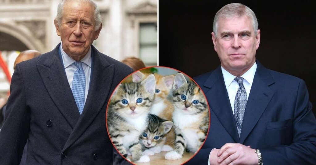 King Charles ‘Terrified’ of the One ‘Guest’ Banned From Brother’s New Home King Charles 'Terrified' of the One 'Guest' Banned From Brother's New Home