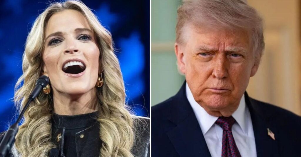 Megyn Kelly Bashes ‘Thin-Skinned’ Trump and Says ‘There’s No Loyalty’ Megyn Kelly Bashes 'Thin-Skinned' Trump and Says 'There's No Loyalty'
