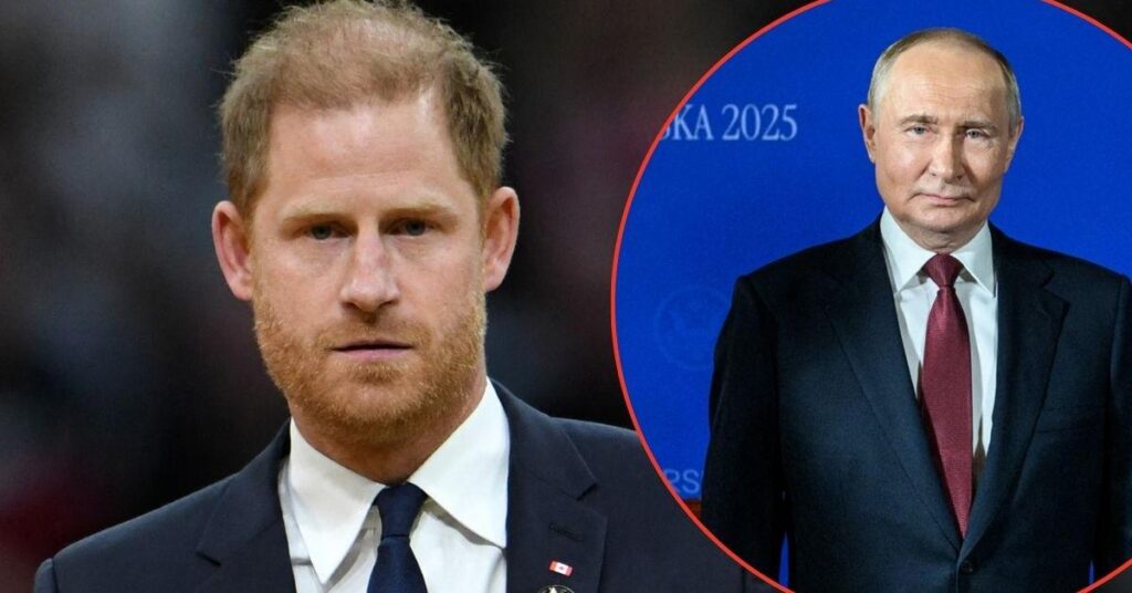 Prince Harry Criticized Over Diana Reference in War Comment Prince Harry Criticized Over Diana Reference in War Comment