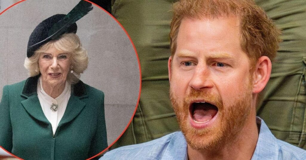 Prince Harry Feud With Camilla Threatens Reunion