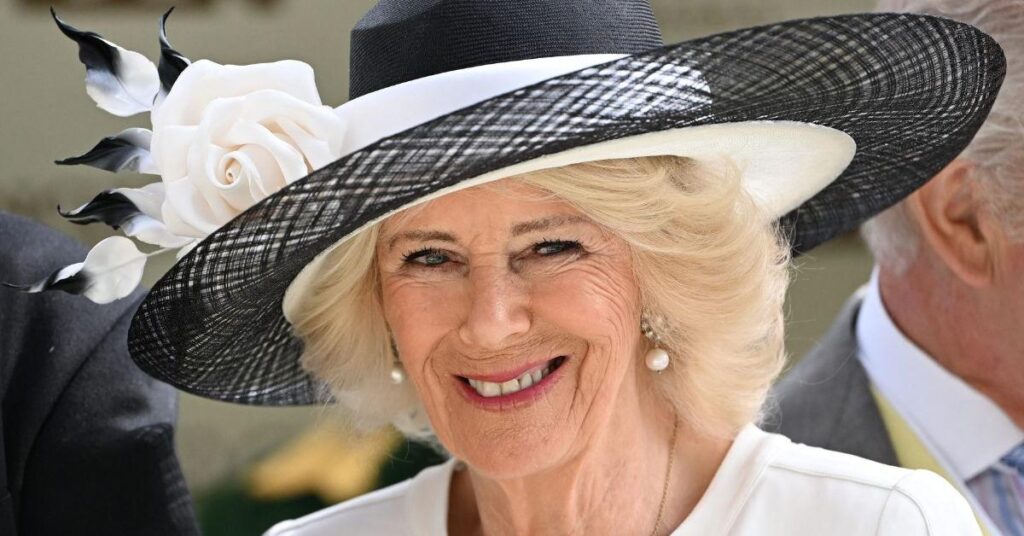 Queen Camilla Set to Launch Shock ‘Jeffrey Epstein Plan’ Queen Camilla Set to Launch Shock 'Jeffrey Epstein Plan'