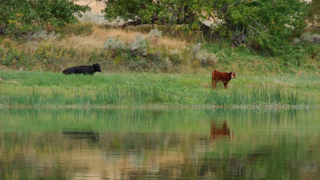 Interior Cancels Rule That Put Conservation On Equal Footing With Development