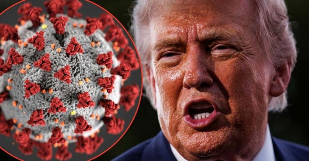 Trump Conspiracies Exploded Over Hantavirus and Ebola Outbreaks