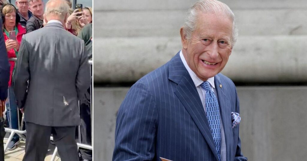 King Charles Gets Hit With Seagull Poop During Northern Ireland Visit King Charles Gets Hit With Seagull Poop During Northern Ireland Visit