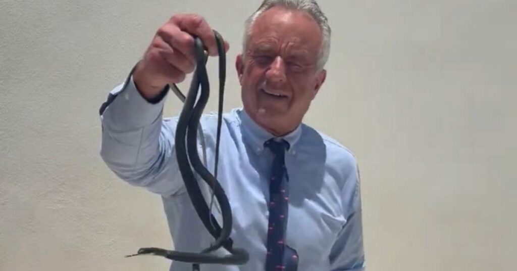RFK Jr. Grabs Pair of Wild Snakes with His Bare Hands in Shocking Video RFK Jr. Grabs Pair of Wild Snakes with His Bare Hands in Shocking Video